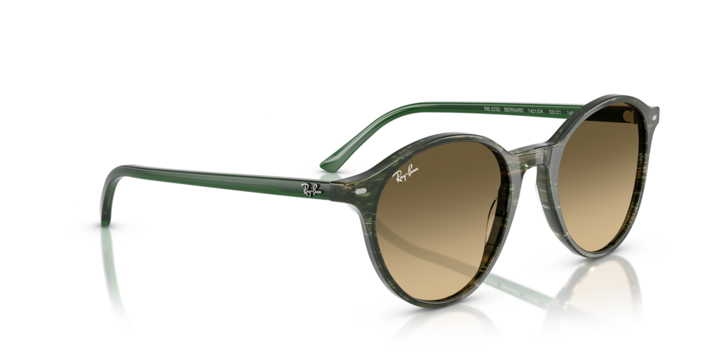 Ray-Ban RB2230 14210A - Güneş Gözlükleri