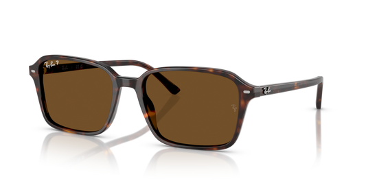 Ray-Ban RB2231 902/57 - 56 - Güneş Gözlükleri