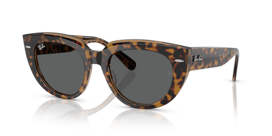 Ray-Ban RB2286 1292B1 - 49 - Güneş Gözlükleri