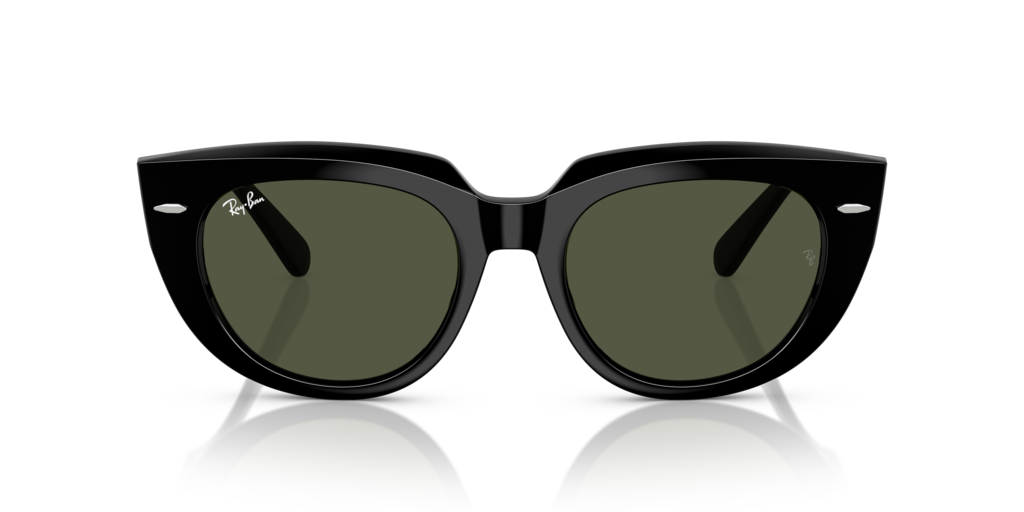 Ray-Ban RB2286 901/31 - Güneş Gözlükleri