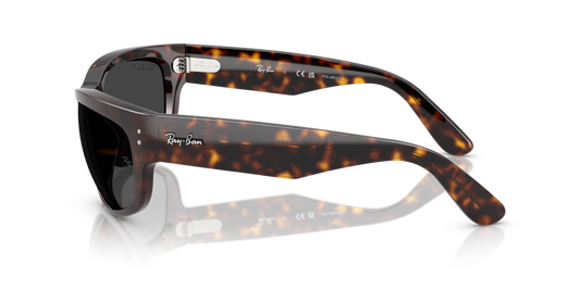 Ray-Ban RB2289 902/48 - Güneş Gözlükleri