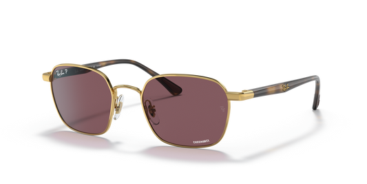 Ray-Ban RB3664CH 001/BC - 50 - Güneş Gözlükleri