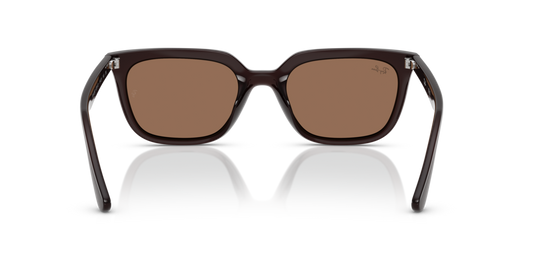 Ray-Ban RB4439D 623173 - 54 - Güneş Gözlükleri