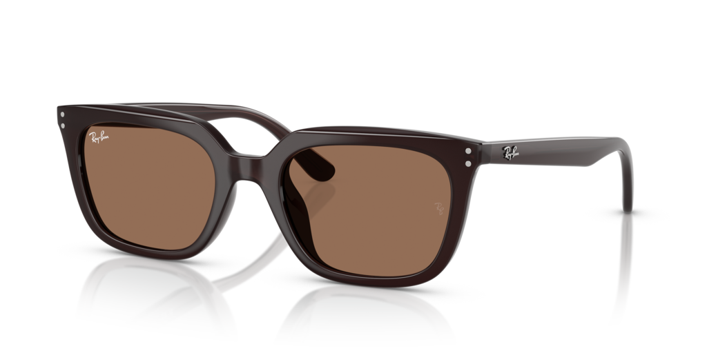 Ray-Ban RB4439D 623173 - 54 - Güneş Gözlükleri