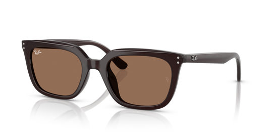 Ray-Ban RB4439D 623173 - 54 - Güneş Gözlükleri