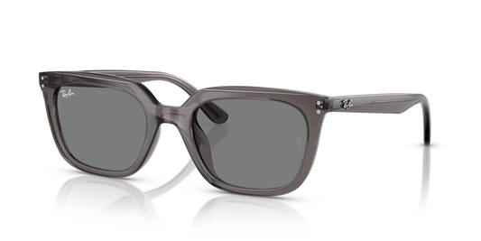 Ray-Ban RB4439D 667587 - 54 - Güneş Gözlükleri