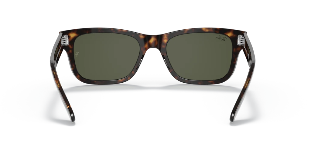 Ray-Ban RB2283 902/31 - Güneş Gözlükleri