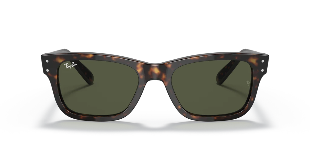 Ray-Ban RB2283 902/31 - Güneş Gözlükleri