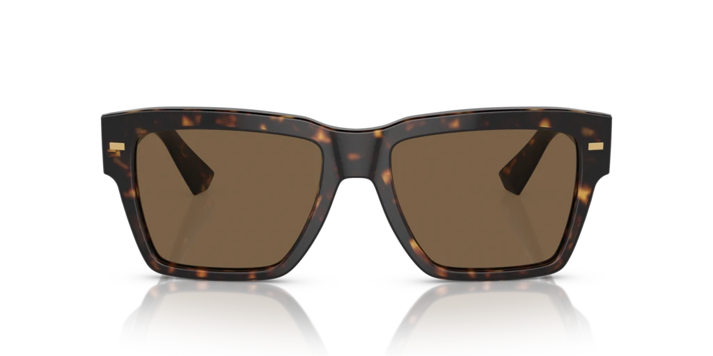 Dolce & Gabbana DG4431 502/73 - 55 - Güneş Gözlükleri