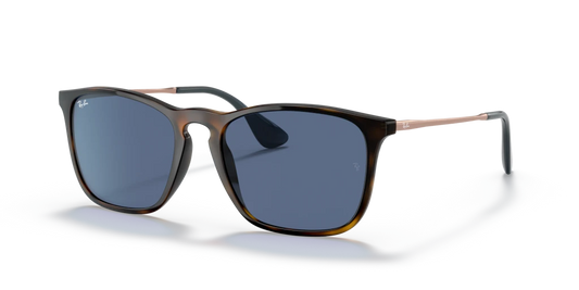 Ray-Ban RB4187 639080 - 54 - Güneş Gözlükleri