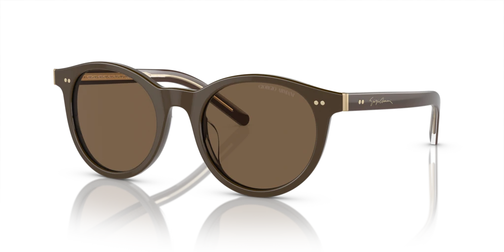 Giorgio Armani AR8199U 604073 - 50 - Güneş Gözlükleri