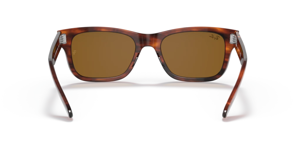 Ray-Ban RB2283 954/33 - Güneş Gözlükleri