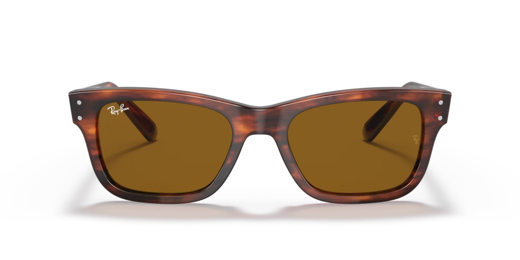 Ray-Ban RB2283 954/33 - Güneş Gözlükleri