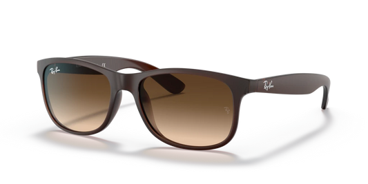 Ray-Ban RB4202 607313 - 55 - Güneş Gözlükleri