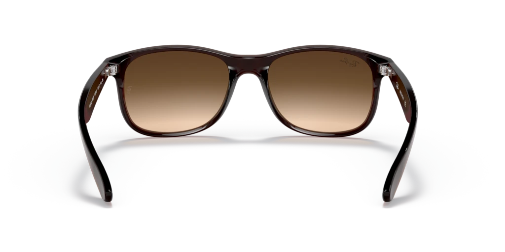 Ray-Ban RB4202 607313 - 55 - Güneş Gözlükleri